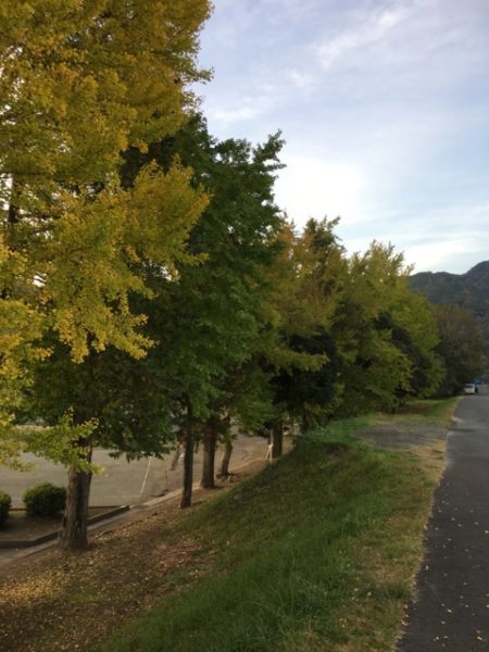 2016.11     狩野川 河川敷