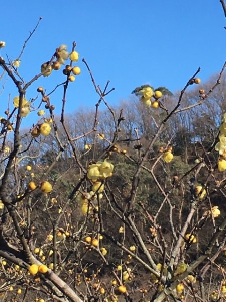 2017／1月    松川湖