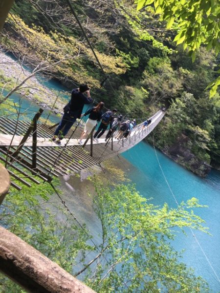 今日、GWの定休日を使って静岡の”夢の吊り橋”へ行ってきました！