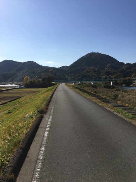 11月27日大仁　狩野川河川敷（秋っぽい）