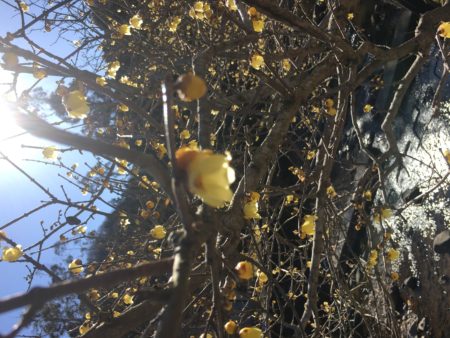 ちょー寒いのに、、、