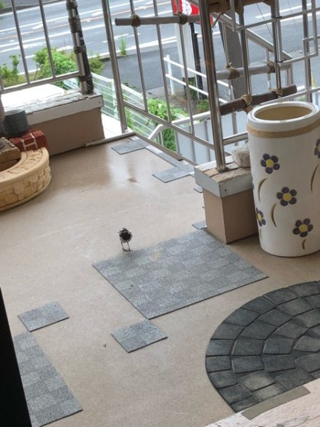 こんなところに⋯⋯