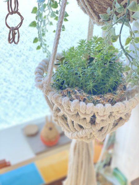 コアミートリートメント