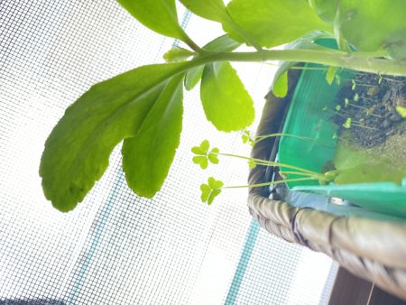 年内のご予約について